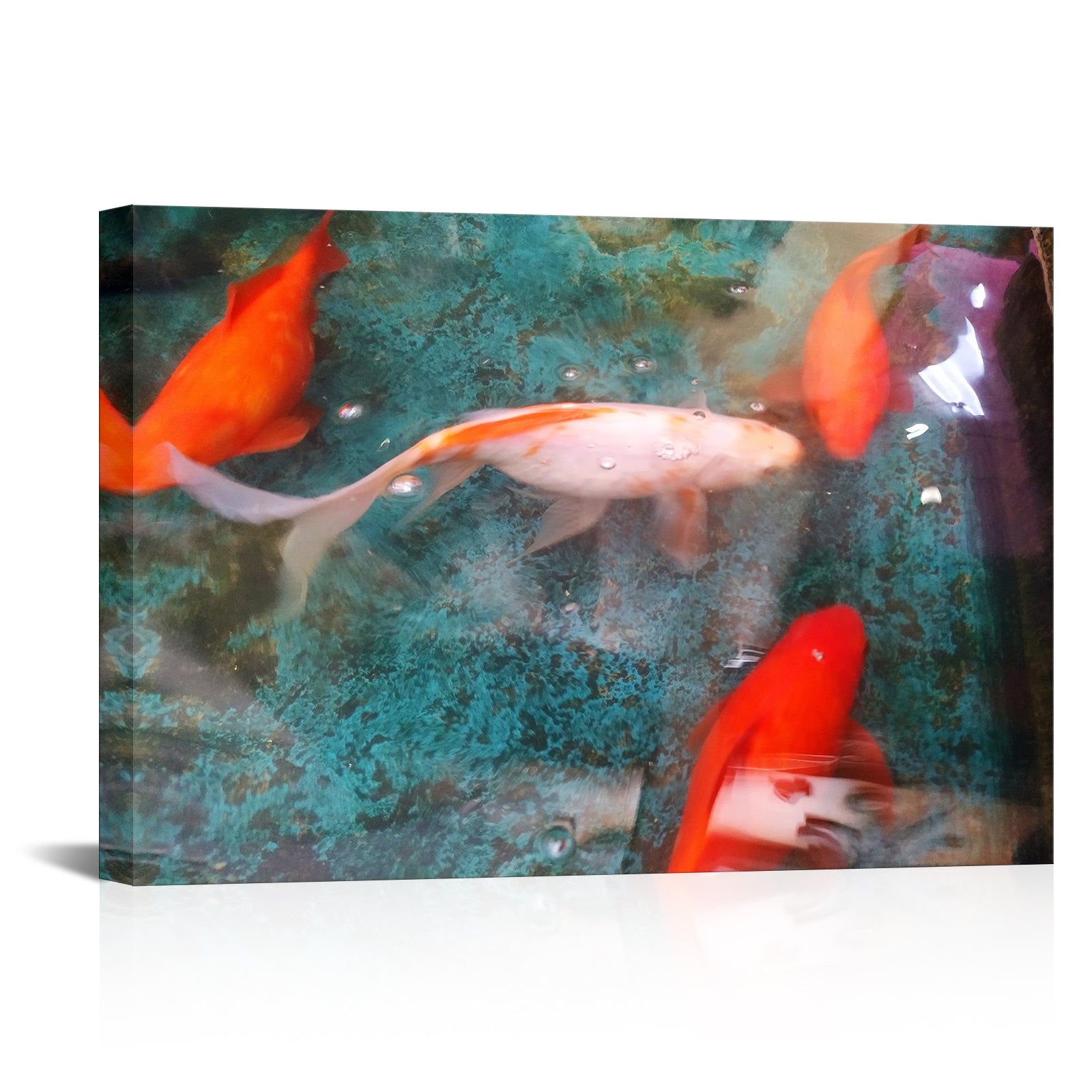 Goldfish